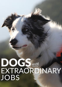 Dogs with Extraordinary Jobs Ne Zaman?'
