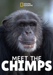 Meet the Chimps Ne Zaman?'