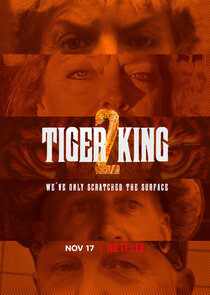 Tiger King: Murder, Mayhem and Madness Ne Zaman?'