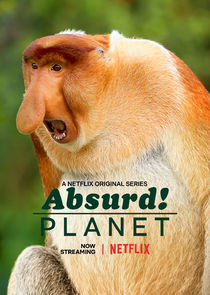Absurd Planet Ne Zaman?'
