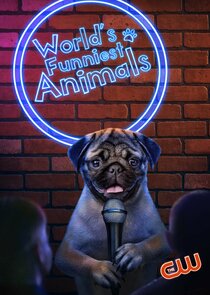 World's Funniest Animals Ne Zaman?'