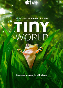 Tiny World Ne Zaman?'
