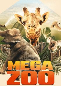 Mega Zoo Ne Zaman?'