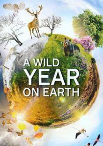 A Wild Year on Earth Ne Zaman?'
