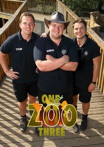 One Zoo Three Ne Zaman?'