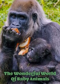The Wonderful World of Baby Animals Ne Zaman?'