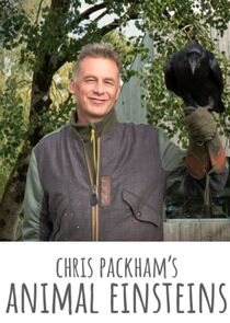 Chris Packham's Animal Einsteins Ne Zaman?'