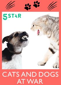 Cats and Dogs at War Ne Zaman?'