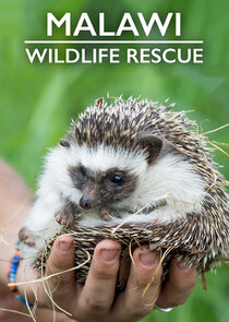 Malawi Wildlife Rescue Ne Zaman?'