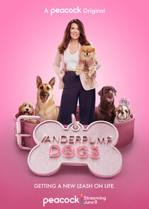 Vanderpump Dogs Ne Zaman?'