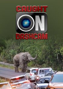 Caught on Dashcam Ne Zaman?'