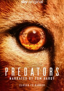 Predators Ne Zaman?'