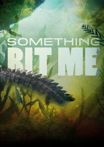 Something Bit Me! Ne Zaman?'