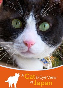 A Cat's-Eye View of Japan Ne Zaman?'