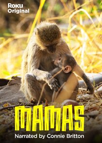 Mamas Ne Zaman?'