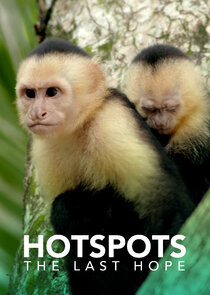 Hotspots: The Last Hope Ne Zaman?'
