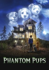 Phantom Pups Ne Zaman?'