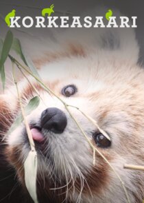 Korkeasaari Ne Zaman?'