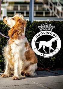 Goodwoof Ne Zaman?'