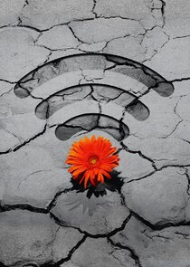 Offline with Jon Favreau Ne Zaman?'