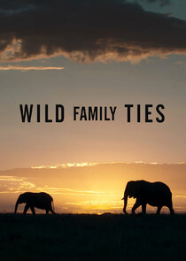 Wild Family Ties Ne Zaman?'
