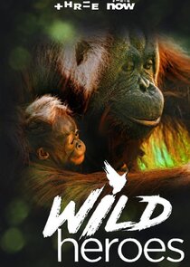 Wild Heroes Ne Zaman?'