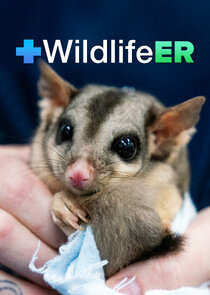 Wildlife ER Ne Zaman?'