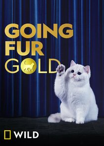 Going Fur Gold Ne Zaman?'