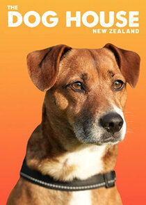 The Dog House NZ Ne Zaman?'