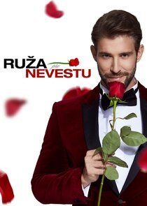 Ruža pre nevestu Ne Zaman?'