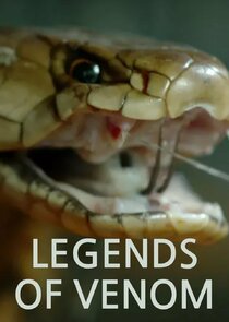 Legends of Venom Ne Zaman?'