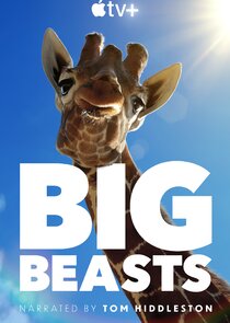 Big Beasts Ne Zaman?'