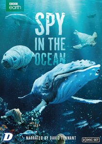 Spy in the Ocean Ne Zaman?'