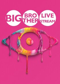 Big Brother: Live Stream Ne Zaman?'