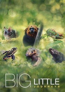 Big Little Journeys Ne Zaman?'