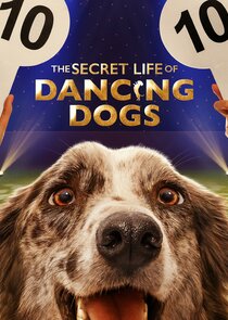 The Secret Life of Dancing Dogs Ne Zaman?'