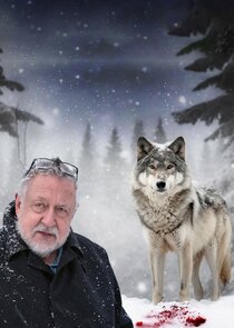 Leif GW och vargen Ne Zaman?'