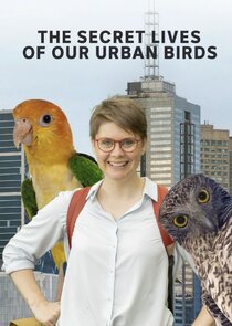 The Secret Lives of Our Urban Birds Ne Zaman?'