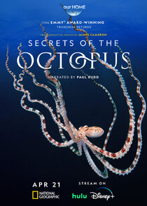 Secrets of the Octopus Ne Zaman?'