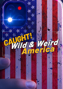 Wild & Weird America Ne Zaman?'