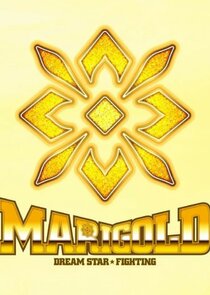 Dream Star Fighting MARIGOLD Ne Zaman?'
