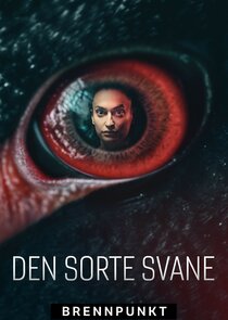 Den sorte svane Ne Zaman?'