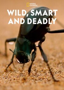 Wild, Smart and Deadly Ne Zaman?'