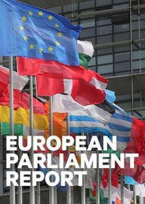 European Parliament Report Ne Zaman?'