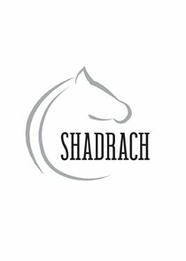 Shadrach Ne Zaman?'