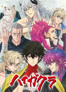 Haigakura Ne Zaman?'