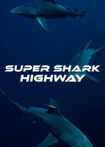 Super Shark Highway Ne Zaman?'