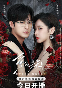 Fervent Kiss Ne Zaman?'