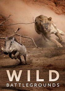 Wild Battlegrounds Ne Zaman?'