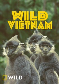 Wild Vietnam Ne Zaman?'